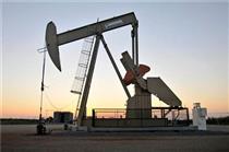 افزایش تولید نفت خام با وجود تحریم‌ها