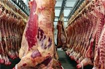  باید برای خرید گوشت چه نکاتی را باید رعایت کنیم؟
