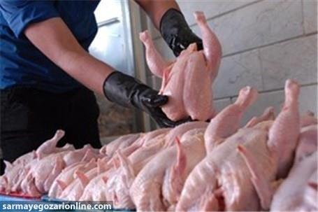 اخذ عوارض ۵ هزار تومانی صادرات مرغ از ابتدای مرداد + بخشنامه