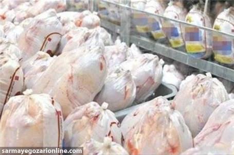 ۱۶۰۰ تن مرغ منجمد در تهران توزیع می‌شود