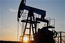 گمانه‌زنی‌ها در مورد افزایش عرضه قیمت نفت را کاهش داد