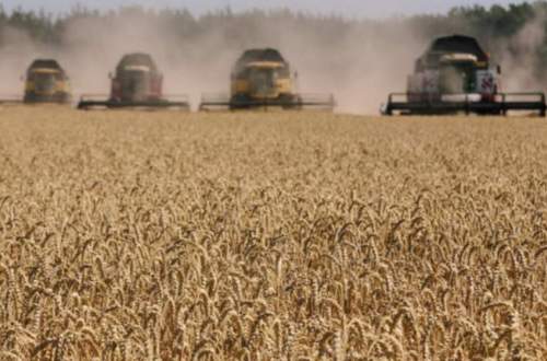پژواک جنگ اوکراین بر اقتصاد جهان؛ قیمت‌های رو به افزایش مواد غذایی در آمریکا