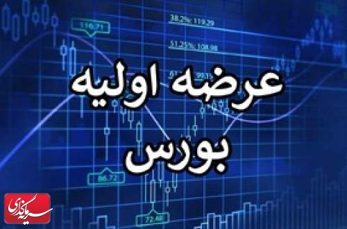 چند عرضه اولیه در بازار سرمایه انجام شد؟