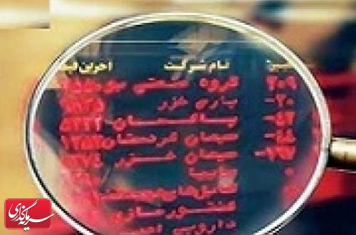 17 شرکت بورسی مشمول انتقال یا تنزل شدند
