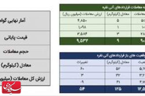 معامله ۱۰۰ کیلوگرم شمش نقره در بورس کالا