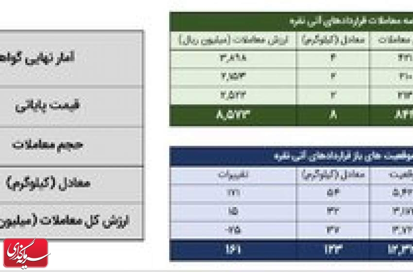معامله ۳۵ کیلوگرم شمش نقره در بورس کالا