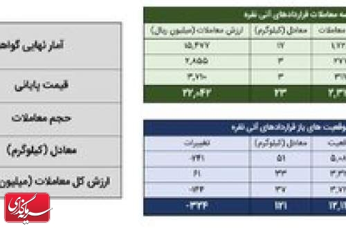معامله ۴۳ کیلوگرم شمش نقره در بورس کالا