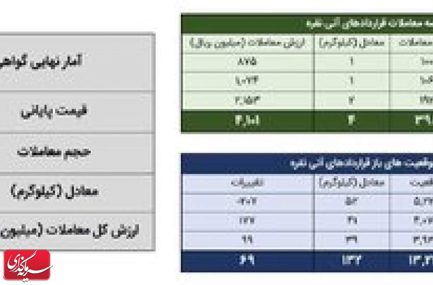 معامله ۲۴ کیلوگرم شمش نقره در بورس کالا
