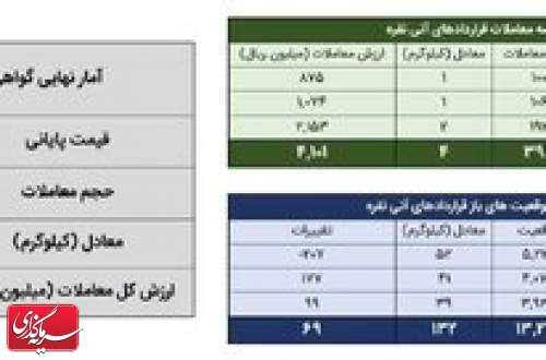 معامله ۲۴ کیلوگرم شمش نقره در بورس کالا